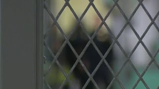 More deaths reported in Harris County Jail than 2024: Texas Jail Commission