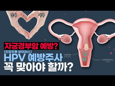 인유두종바이러스 백신 맞으면 뭐가 좋은걸까? HPV 백신으로 예방가능한 암들은 뭐가있을까?