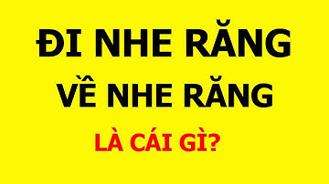 Những câu đố mẹo vui khó đỡ dân gian Việt Nam