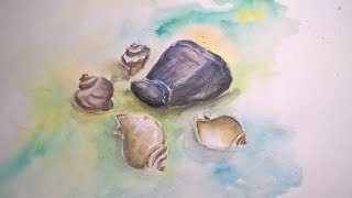 Урок рисования для начинающих, пишем акварелью и гуашью ракушки Урок рисования для начинающих, пишем акварелью и гуашью ракушки