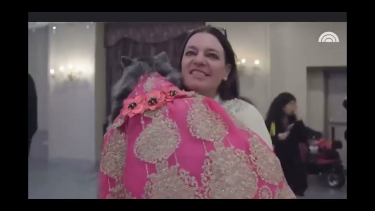 Citypet Gala Fashion show & Dance show