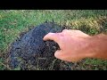 Uncovering the Flex Seal Ant Mound