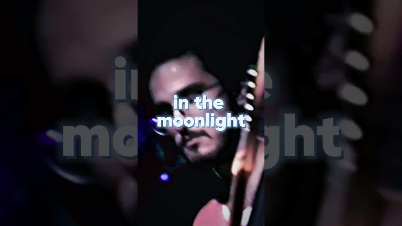 Watch Moonlight Out Now #shorts #music #funk #disco #band on YouTube Watch Moonlight Out Now #shorts #music #funk #disco #band on YouTube