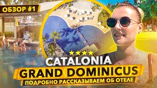 : Catalonia Grand Dominicus 4 -     