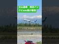 晴天の立山連峰 剱岳バックにANA機が離陸 富山空港 #飛行機 #飛行機好きな人へ #富山空港