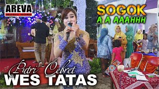 Download Lagu WES TATAS || Ayo Gage Gage Sogok || Putri Cebret || AREVA MUSIC HORE || New Shakila Sound MP3
