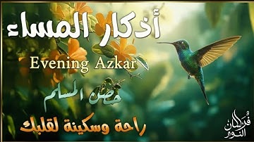 اذكار المساء راحه نفسيه بصوت يريح قلبك 💚 حصن نفسك وبيتك من الشيطان - adkar evening | By Alaa Aqel
