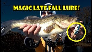 Fishing the Strike King Red Eye Shad - Best Late Fall Bass And Pickerel Fishing