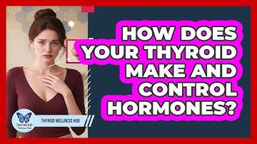 How Does Your Thyroid Make And Control Hormones? - Thyroid Wellness Hub
