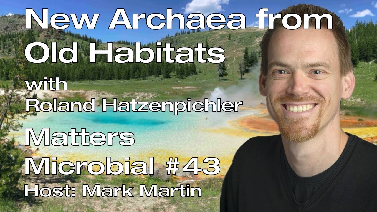 Matters Microbial #43: New Archaea from old habitats