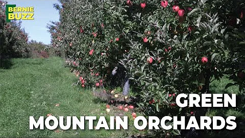 Fall in Vermont with Green Mountain Orchards