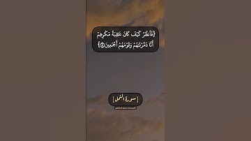 سورة النمل الآية ٤٩ الى ٥٢ بصوت الشيخ محمد صديق المنشاوي