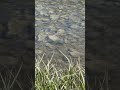 Медитація-заговір на воду: Всі мої біди та проблеми уходьте, щастя та радість до мене заходьте 💐💫