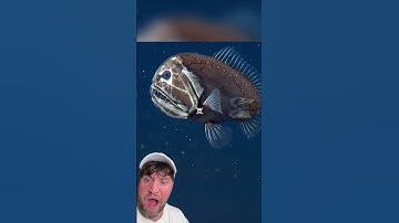 THE OCEANS DEPTH CHARGE IS CRAZY 🎥limitswrldd #shorts