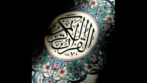 روائع التلاوات | وما من دابة في الأرض إلا على الله رزقها .. - إبراهيم العسيري