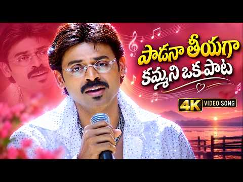 Venkatesh Evergreen Superhit Song - Padana Teeyaga Kammani Oka Pata Song | Vasu Movie Songs 4K