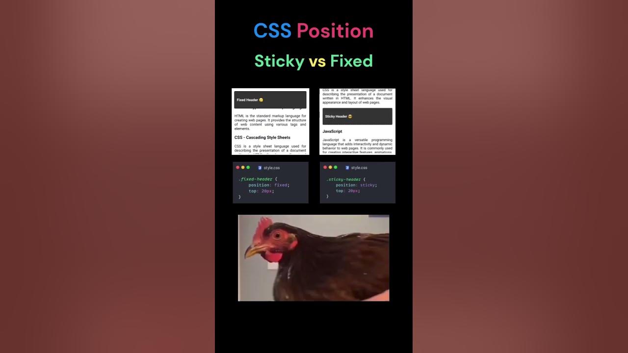 Css position sticky vs fixed html css shortvideo webdevelopment