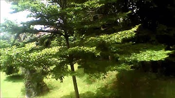 Syma X5C Wide Angle Lens mod (Jelly Lens)