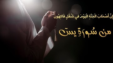 ما تيسر من سورة يسٓ | إِنَّ أَصْحَابَ الْجَنَّةِ الْيَوْمَ فِي شُغُلٍ فَاكِهُونَ