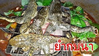 ยำกบนา ยำกบสูตรเมืองเหนือ BY ลุงเด่น