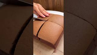 Chocolate Taiwanese Castella Sponge Cake ☁️🍫  | 초콜릿 대만 카스테라 만들기