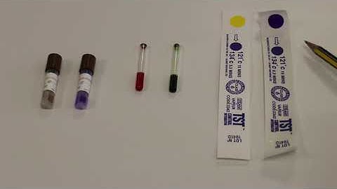 Autoclave: 14  Indicators review