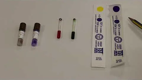 Autoclave: 14  Indicators review