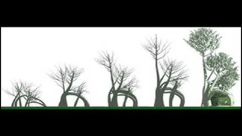 Terreform on Ecology Degin