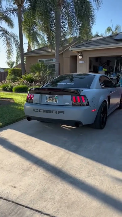 Daily a 2004 SVT Cobra S197 Shelby GT500 or a Bagged and Boosted s550