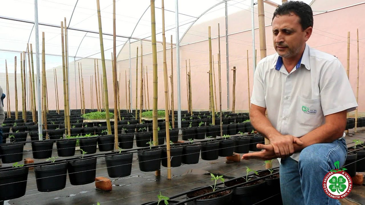 SEAL HORTIFRUTI - Sistema Integrado