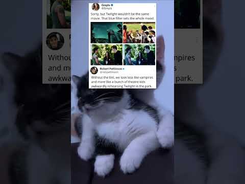 Twilight Wouldn T Be The Same Movie That Blue Filter Sets The Whole Mood 