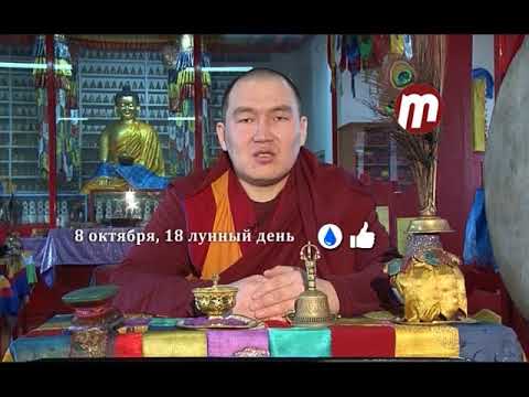 Зурхай 08.10.2017