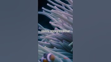 How  can Control population in India ??? 🤔