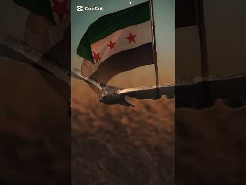 الشاهين طير حر    الشاهين جيش سوريا ابطال الفرقة الخاصة ابطال سوريا