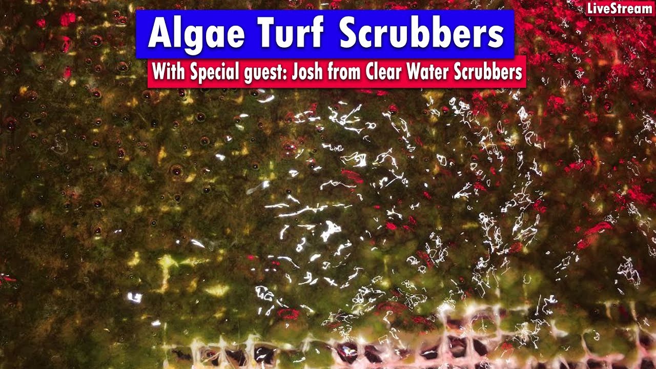 Algae Turf Scrubber - All about ATS!