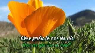 Amapola (Poppy) - subtitulos en español e ingles