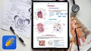 AESTHETIC ANATOMY NOTES in Medical School 📝💀 | Ipad Pro, Notability