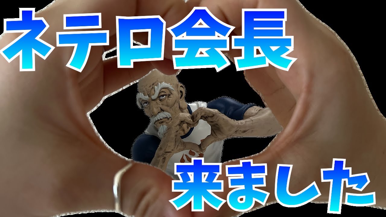 HUNTER×HUNTER】感謝！ポッパレのネテロとメルエムがお家に届い