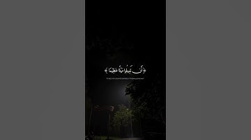تلاوة هادئة ومريحة | قران كريم بصوت القارئ محمد اللحيدان ♥️#راحة نفسية
