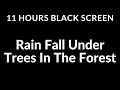 11 Hours Black Screen RAIN Falling under Trees in the Forest Sound For Sleeping | Sleep Hygiene