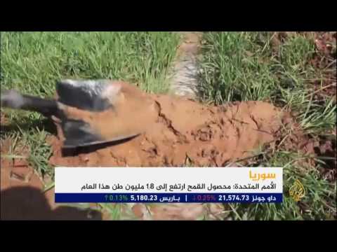 النشرة الاقتصادية الأولى 19/7/2017