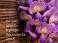 Ihlamurlar Altinda Lyrics Türkisch Ihlamurlar Altinda Lyrics Türkisch
