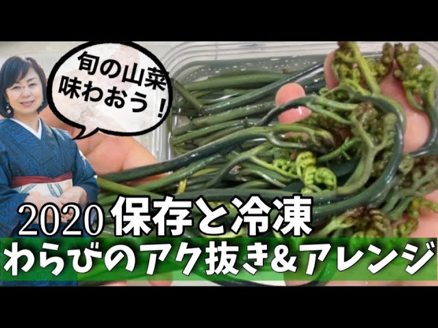 わらびアク抜きとアレンジクッキング 冷凍保存も可能 煮物 ナムル ちらし寿司 Youtube わらびアク抜きとアレンジクッキング 冷凍保存も可能 煮物 ナムル ちらし寿司 Youtube