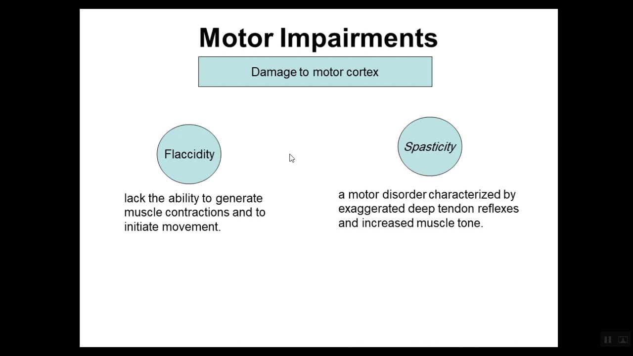 Cerebrovascular Accidents 4 Clinical Findings   Motor Impairment