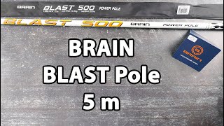 Вудлище Brain Blast Pole 5m