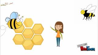 النحلة | تعليم اطفال | امرح وتعلم