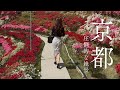 【50代独身看護師】咲き誇る50代のバックショットと京都の絶景!