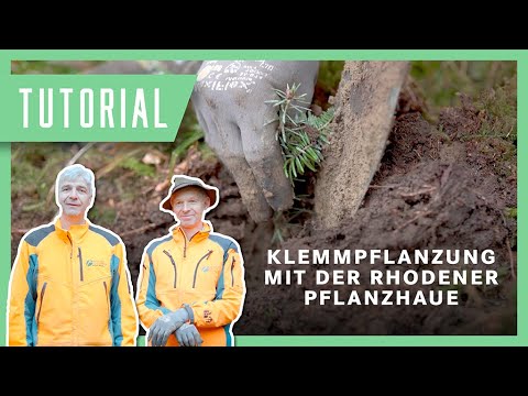 Klemmpflanzung / Pflanzung mit der Rhodener Pflanzhaue - Tutorial der Bayerischen Staatsforsten