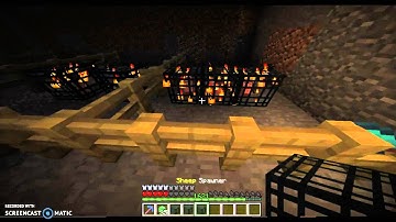 My set of animal spawners turn into pig--TEI Survival