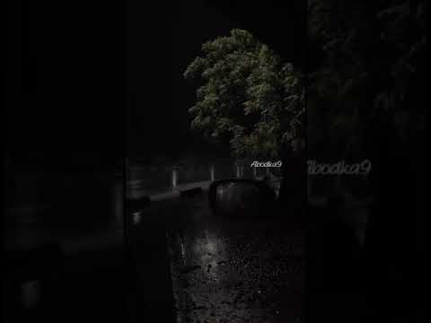 شايف طيفك صوت المطر حالات واتس حالات اشتراك ستوريات لايك سيلاوي حالات واتس